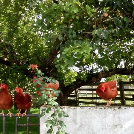 Prázdninový dům Cummins