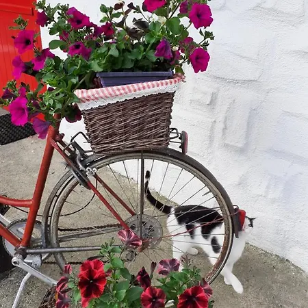 Cummins * Ballycrossaun