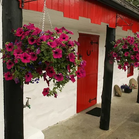 Feriehus Cummins Ballycrossaun