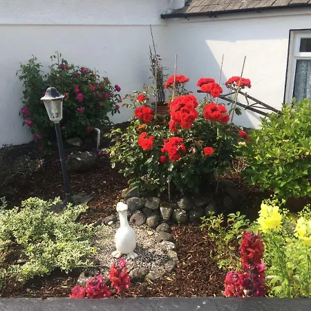 Cummins بيت للعطل *