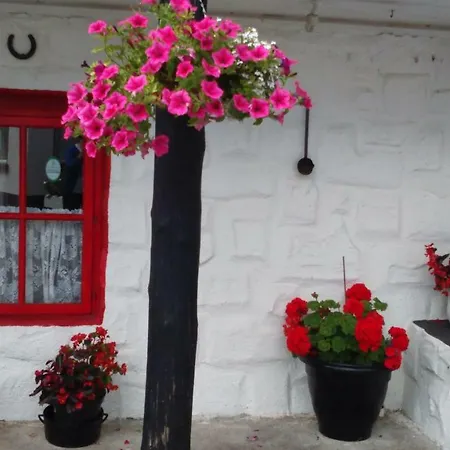 Cummins بيت للعطل