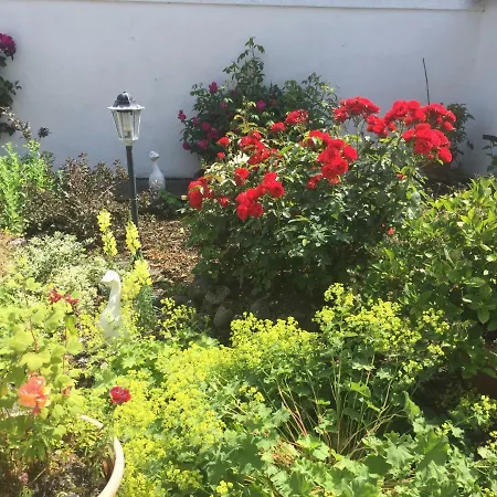 Prázdninový dům Cummins Ballycrossaun