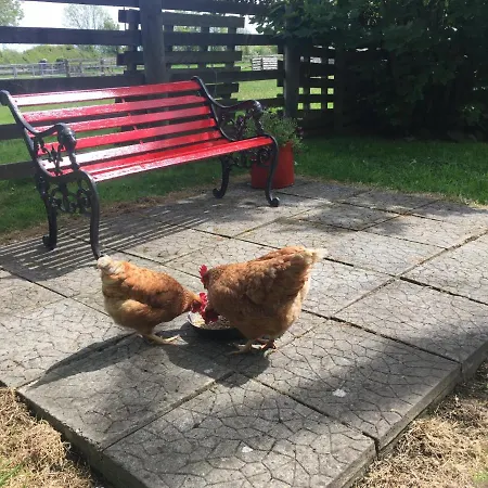 Cummins Prázdninový dům Ballycrossaun