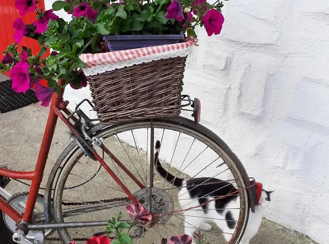 Cummins * Ballycrossaun