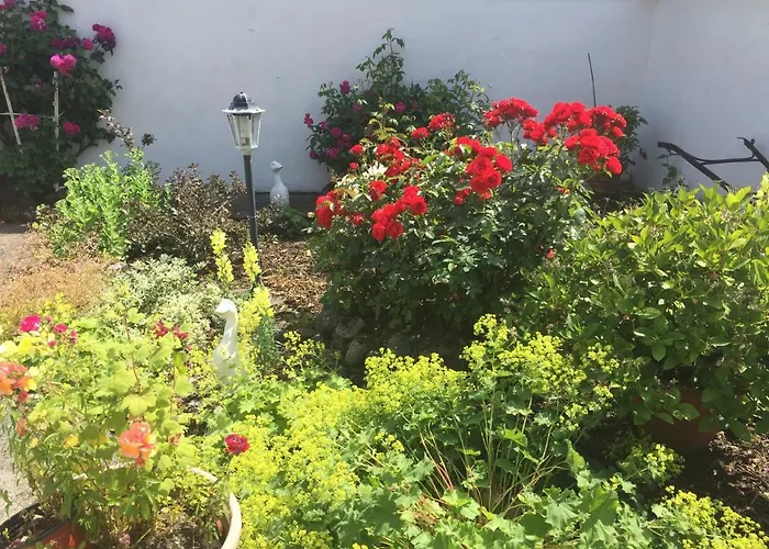 Σπίτι διακοπών Cummins Ballycrossaun