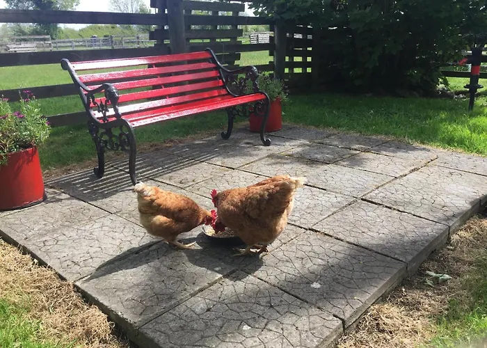 Cummins 別荘 Ballycrossaun